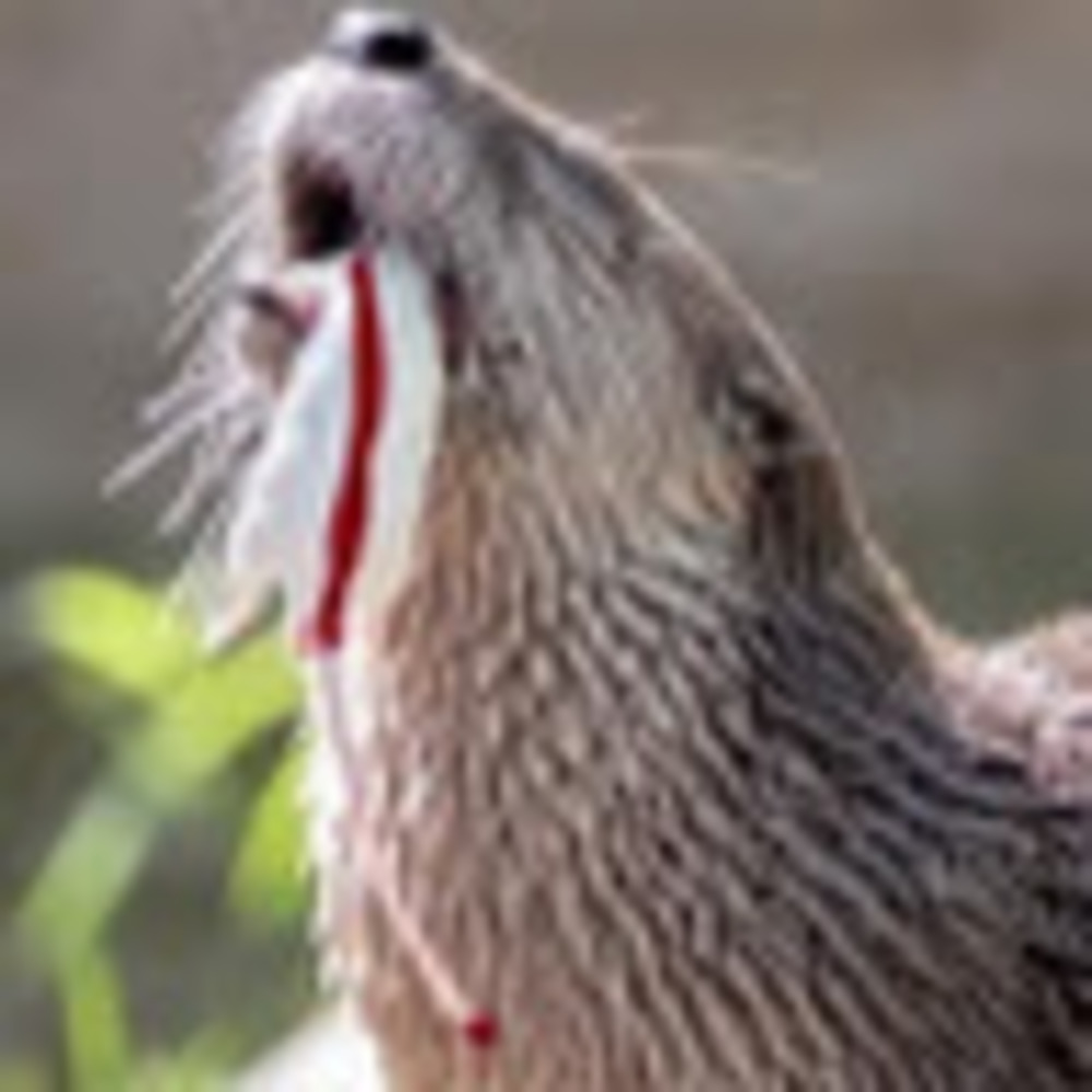 Meet your Posher, Aaron